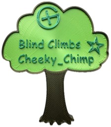 BlindClimbs